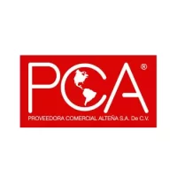 pca-diseno-de-logotipos-tuwebsite-diseno-de-marcas-branding-jalisco-mexico